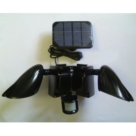 Solar Powered Duo Security