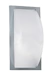 IMAGE OF Eglo 87182A Park-5, Silver/Frosted Opal, 1-Light Wall Light Fixture