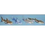 Leopard Shark Puppet 24in (P8125)