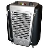 DeLonghi SafeHeat Utility Heater with Timer