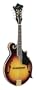 Dean Bluegrass F Style Mandolin, Vintage Sunburst
