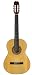Artista Flamenco Classical Guitar Spanish