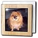 Pomeranian Dog - 6 Inch Tile Napkin Holder