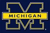 Michigan Wolverines 20x30 Tufted Rug - COLLEGE ATHLETICS Sports Merchandise