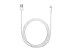 Apple OEM Wall Charger for iPhone 5/5c/5s/6/6 Plus - Non-Retail Packaging - White