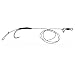 Sänger Anaconda Regular Pop Up Rig + Cassien WS Hook