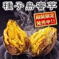 送料無料！（沖縄離島を除く）【種子島蜜芋】夢百笑が作った鹿児島 種子島産　安納芋 Ｓ～Ｌサイズ