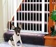 KidCo G15 White Center Gateway with Walk Through Pressure Gate