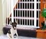 KidCo G15 White Center Gateway with Walk Through Pressure Gate