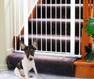 KidCo G15 White Center Gateway with Walk Through Pressure Gate
From KidCo
