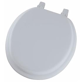 Buy Bemis Mfg Soft Blue Toilet Seat 13EC-034 by Bemis now!