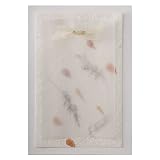 Gartner Studios Natural Hand-made Paper Wedding Invitation Kit, Ivory, 50-Count (61048)