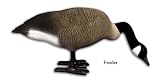 Higdon Decoys 70245 Feeder Full Body - Canada - 4 Pack