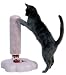 Kitchen & Housewares : Pavlov's Cat Scratching Post
