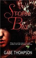 Storm Bay