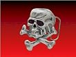 Skull & Crossbones Belt Buckle, 1.5" Loop