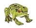 Plush Olive Leopard Frog 9