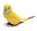 食玩 チョコエッグ ペット動物 第1弾 P15 セキセイインコ(ルチノー): メーカー:フルタ 商品名:食玩 チョコエッグ ペット動物 第1弾 P15 セキセイインコ(ルチノー)