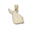 Ball State Cardinal Head Charm/Pendant -14K/10K, Stainless Steel or Gold Plated