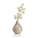 (03996904) Artificial Orchids in Tear Drop Vase in Household & Kitchen