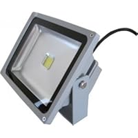 LED Flood Light 30W