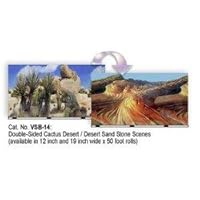 Desert Cact Background Double Sided Size: 12 x 50