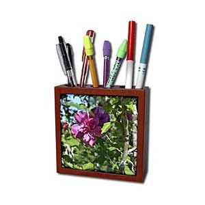 WhiteOak Photography Floral Prints - Beautiful Pink Flower - Tile Pen Holders-5 inch tile pen holder