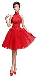 Lace  Halter Short Tulle  Ball Gown Evening Dress/Bridesmaid Dress/Prom Dress/Party Dress 