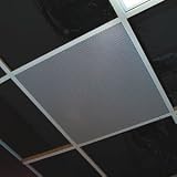 Valcom 2x2 celing speaker