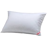 Aller-Ease 100% Cotton Allergy Pillow, Standard/Queen