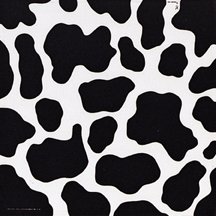 Cow Print Bandana