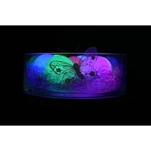Fortune ProductsR-ORB Rainbow Orb LED Light, 3 1/4" Diameter