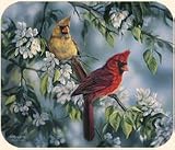 Fiddlers Elbow Cardinals Bird Mouse Pad