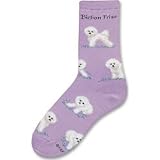 LG Print Purple Bichon Frise Poses