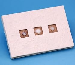 Sea Shell Guest Book