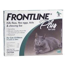 Frontline Cat Plus 3 Pack
