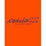 ヱヴァンゲリヲン新劇場版：破　EVANGELION:2.22 YOU CAN (NOT) ADVANCE.【通常版】 [Blu-ray]