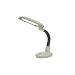 EasyEye Energy Saving Elongated Desk Lamp with Ionzier, Gray
