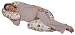 Organic Smart Snoogle Chic - Snoogle Total Body Pregnancy Pillow with 100% Organic Cotton Easy On-off Zippered Cover