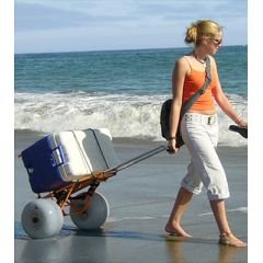 Folding Beach Cart by Wheeleez