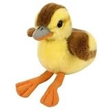 Mallard Duckling 6
