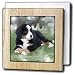 Dogs Bernese Mountain Dog - Bernese Mountain Dog - Tile Napkin Holders