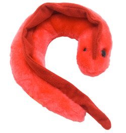 Giant Microbes Chagas Trypanosoma Cruzi Plush