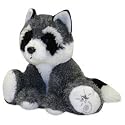Shining Stars Raccoon