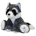 Shining Stars Raccoon