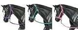 Nylon Halter with Lead Rope, Three Colors