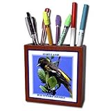 Florene State Birds - Maryland State Bird Baltimore Oriole - Tile Pen Holders-5 inch tile pen holder