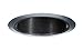 Juno Lighting Group 25B-SC 25 BSC Light, Satin Chrome