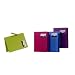 Filexec 6726, Presentation Folder, Neon, Letter Size, Set of 8 in 4 Assorted Colors, 2 Each Blue, Hot Pink, Purple, Green