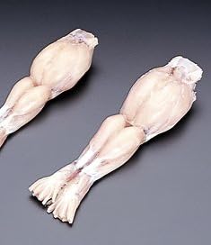カエル肉モモ1kg